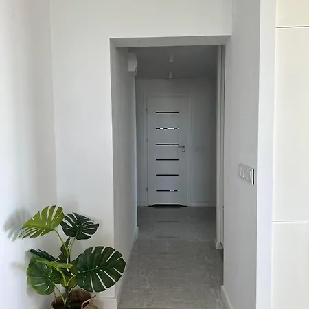 Apartamento Przytulne Mieszkanie Stary Toruń Exterior foto